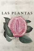Las Plantas