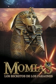 Momias: Los secretos de los faraones
