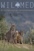 Wilmed, el último bosque mediterráneo