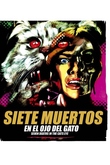 Siete muertos en el ojo del gato