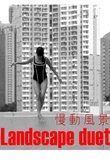 Landscape Duet
