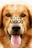 Tu Mejor Amigo