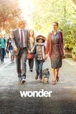 Wonder