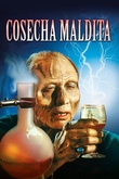 Cosecha maldita