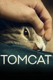 Tomcat