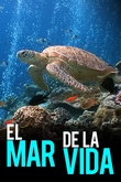 El mar de la vida