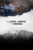 El lápiz, la nieve y la hierba