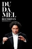 Simfonies núm. 1 i 2 Beethoven (Palau)