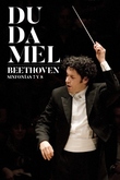 Sinfonías nº7 y 8 Beethoven (Palau)