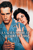 La gata sobre el tejado de zinc