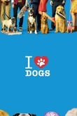 I love dogs
