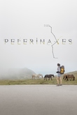 Pelerinaxes