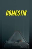 Domestik