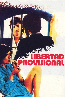 Libertad provisional