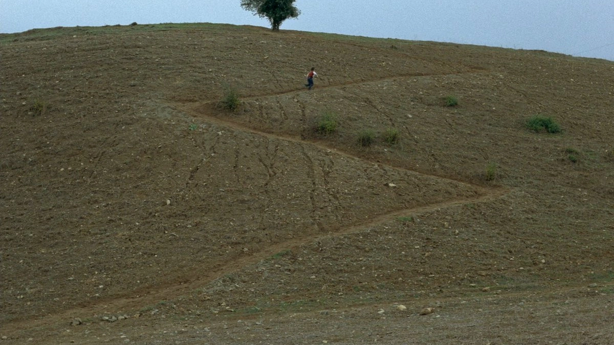 La Casa - ababas