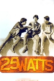 25 Watts