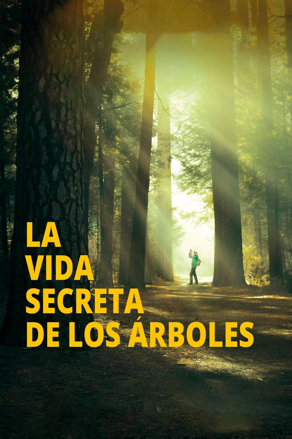 La vida secreta de los árboles - Filmin