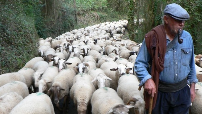 El somni (2008)