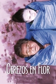 Cerezos en flor