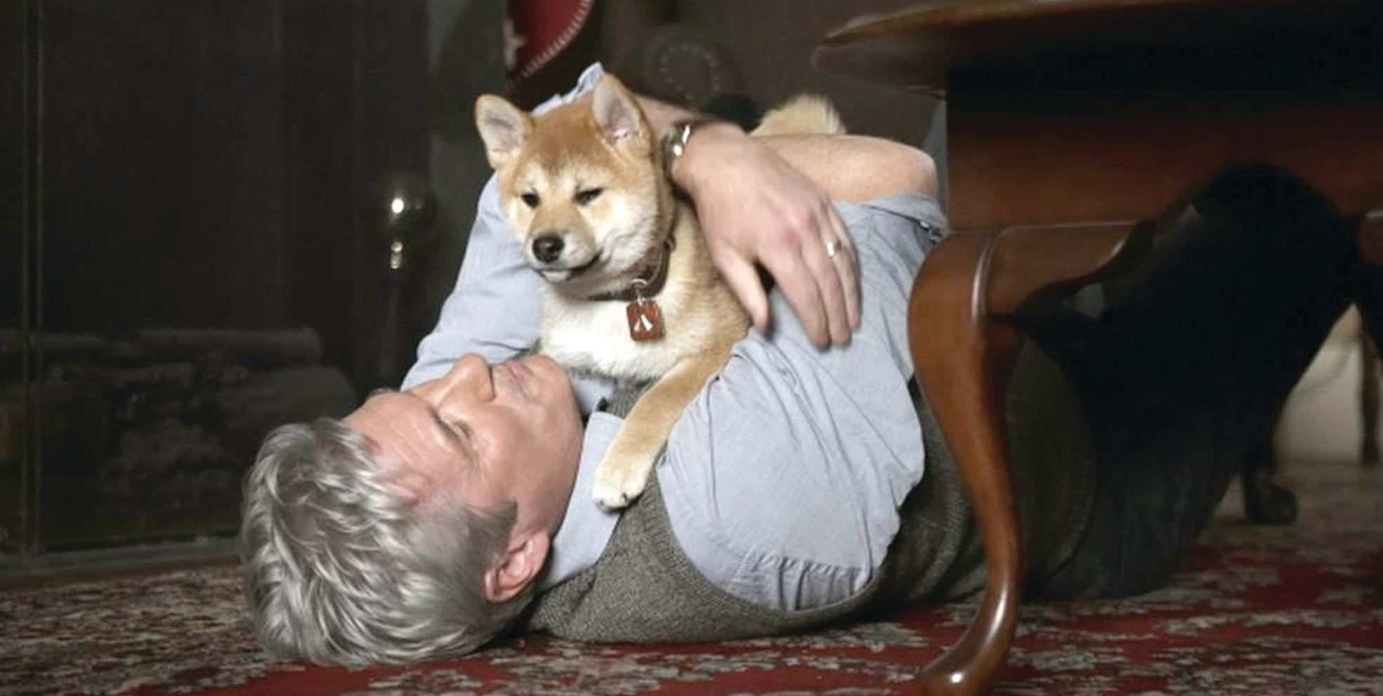 Siempre a tu lado. Hachiko, ver ahora en Filmin