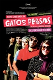 Nadie sabe nada de gatos persas