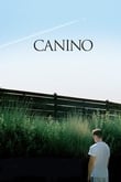 Canino (Dogtooth)