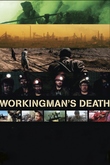 Workingman's death