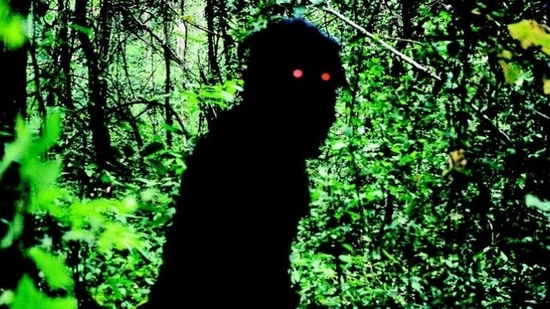 Uncle Boonmee recuerda sus vidas pasadas