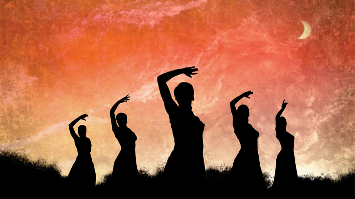 Flamenco, Flamenco