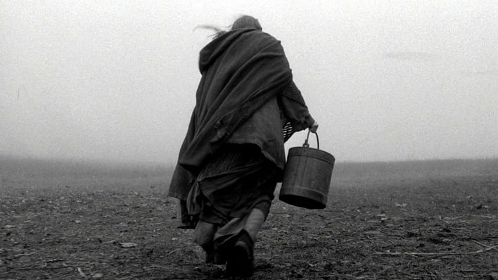 The turin horse