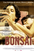 Bonsái