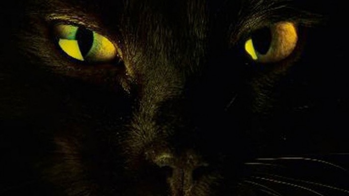 El Gato Desaparece, ver ahora en Filmin