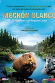Mechón Blanco, las aventuras del pequeño castor