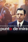 Punto de mira