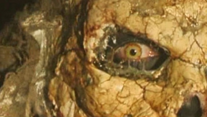 Real Zombi Revolver