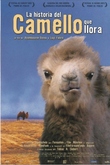 La historia del camello que llora