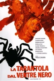 La Tarántula del Vientre Negro
