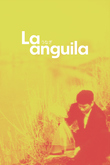 La Anguila