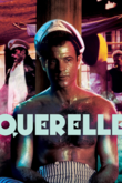 Querelle
