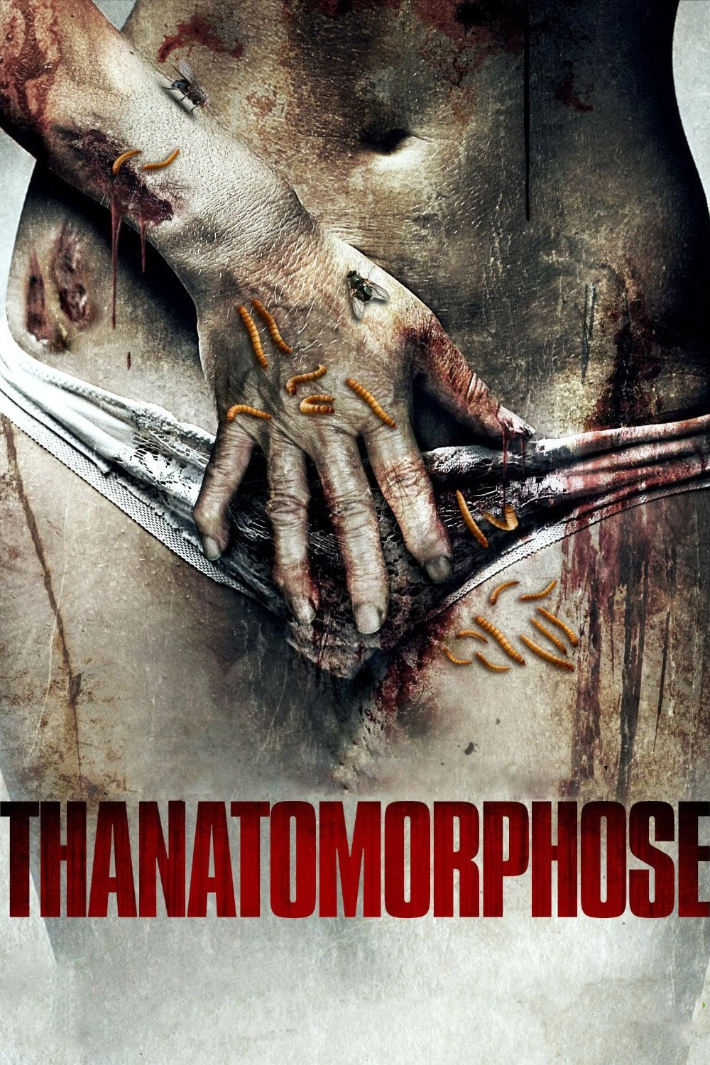 Thanatomorphose - Filmin