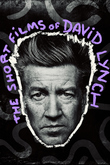 The Short Films of David Lynch