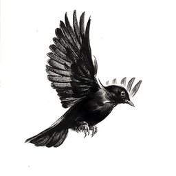 jotafirefly