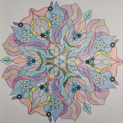 apushiva