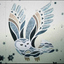 daphnia