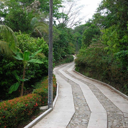 josangel