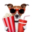 lunavecine
