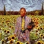 girasolciego