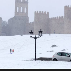 nieves82