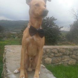 ignacioandreuabrio