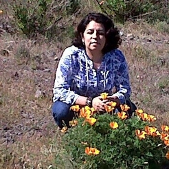 marce858